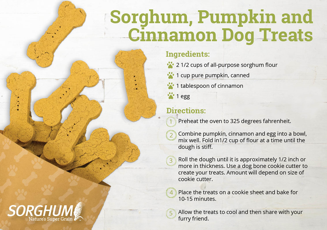 Sorghum, Pumpkin and Cinnamon Dog Treats