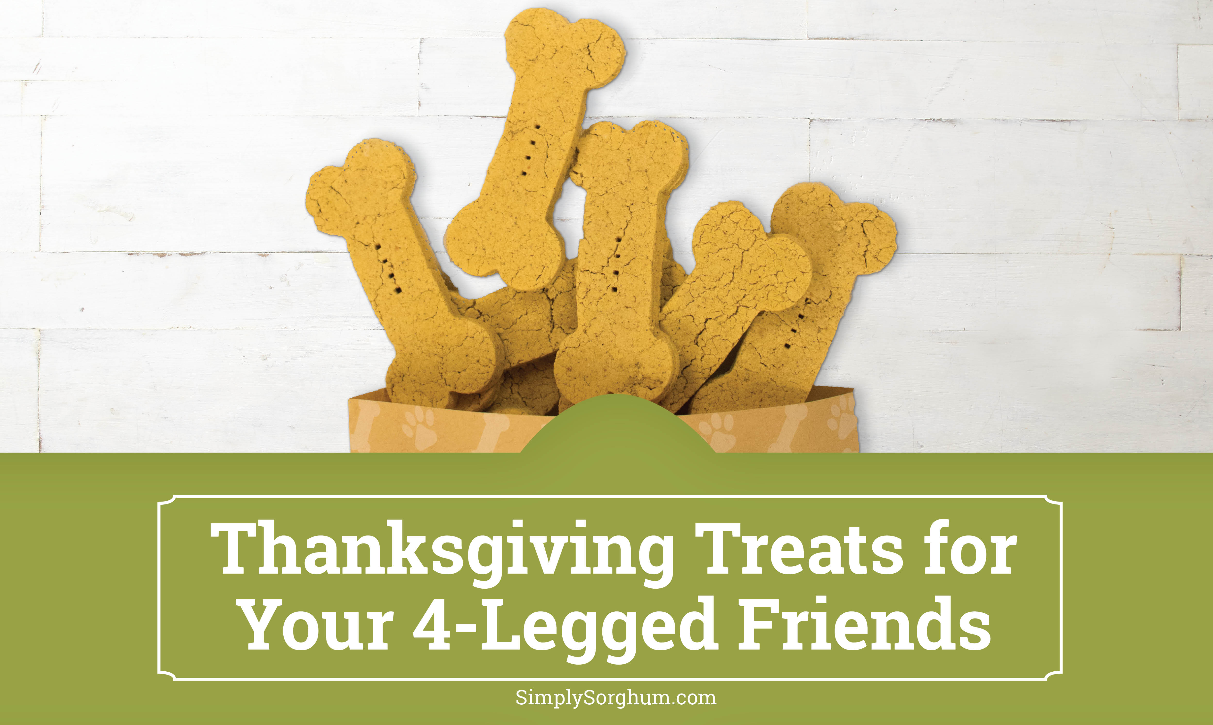 Thanksgiving Treats for Your 4-Legged Friends