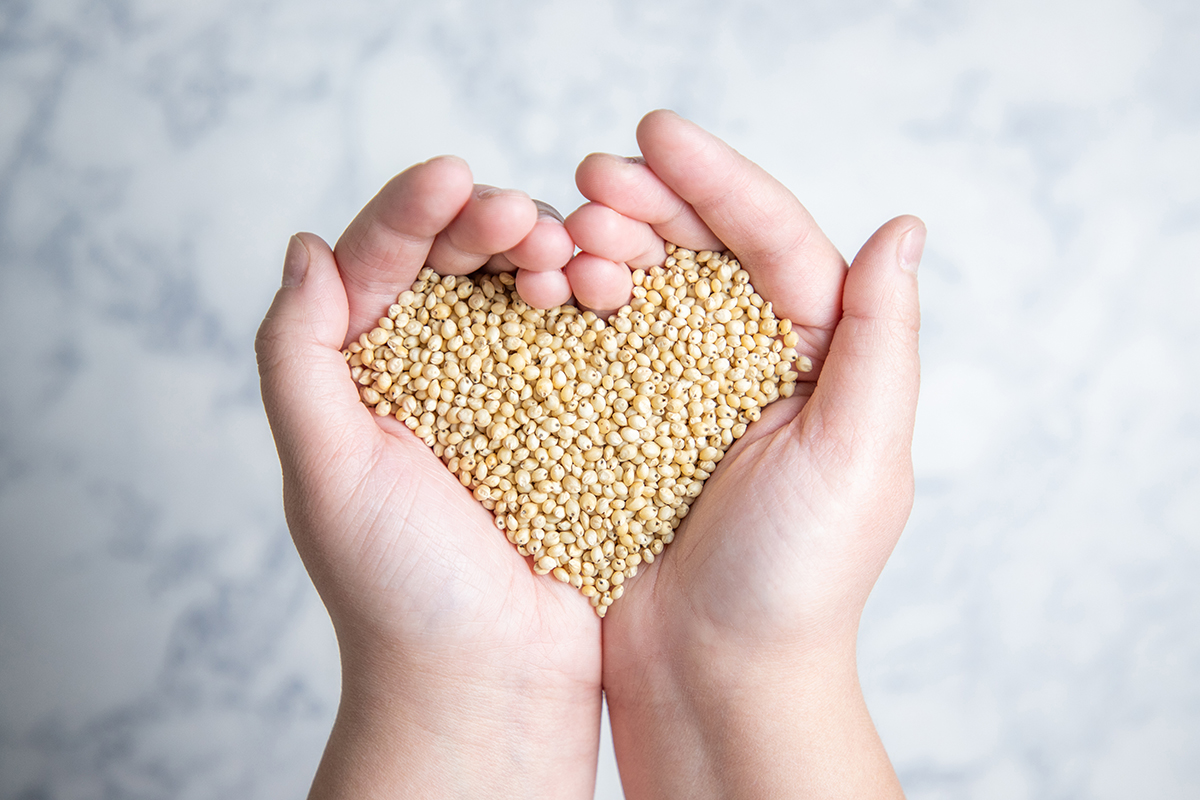 Sorghum Hands