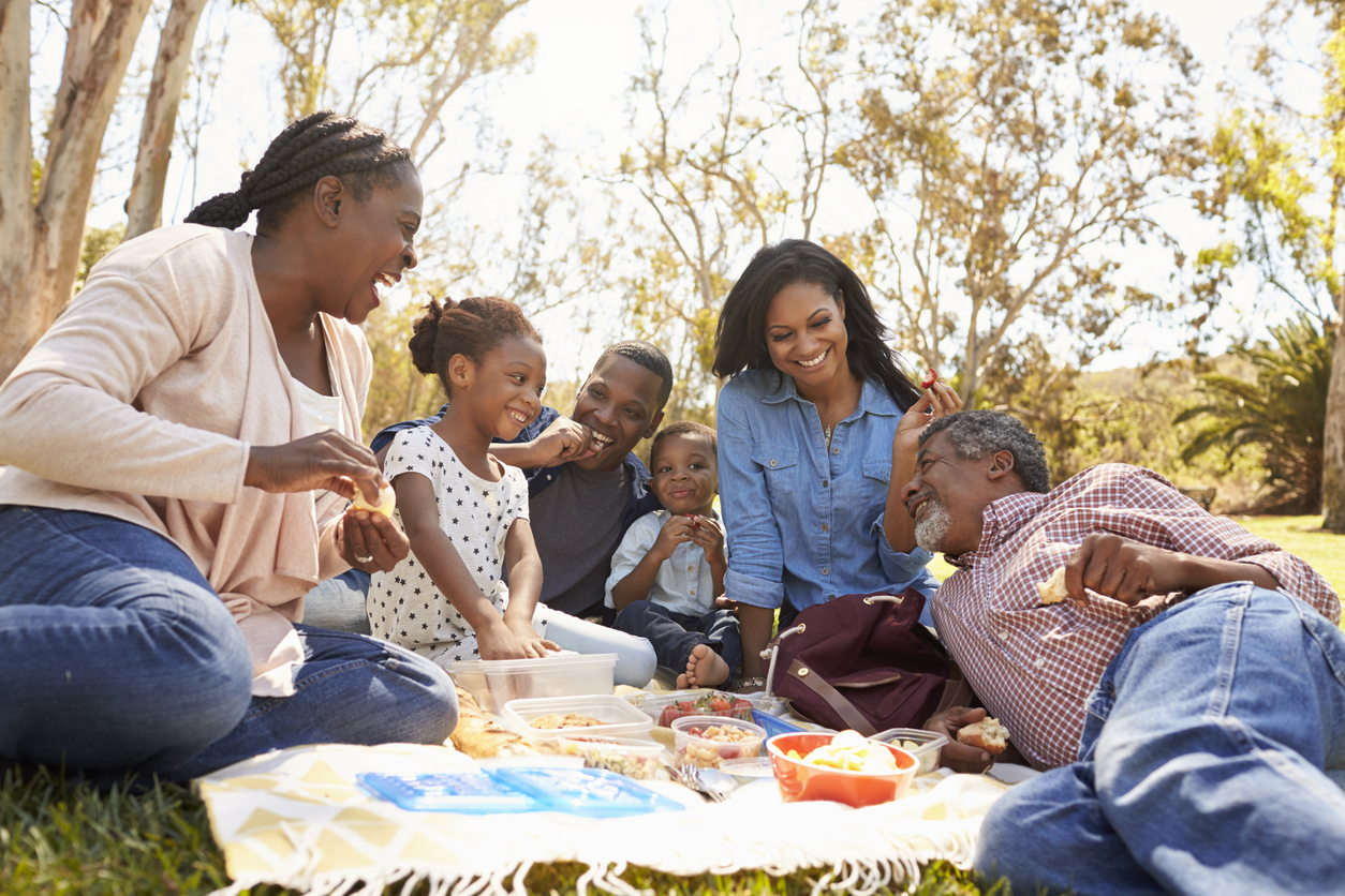 Park Picnic