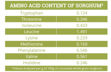 amino acid chart