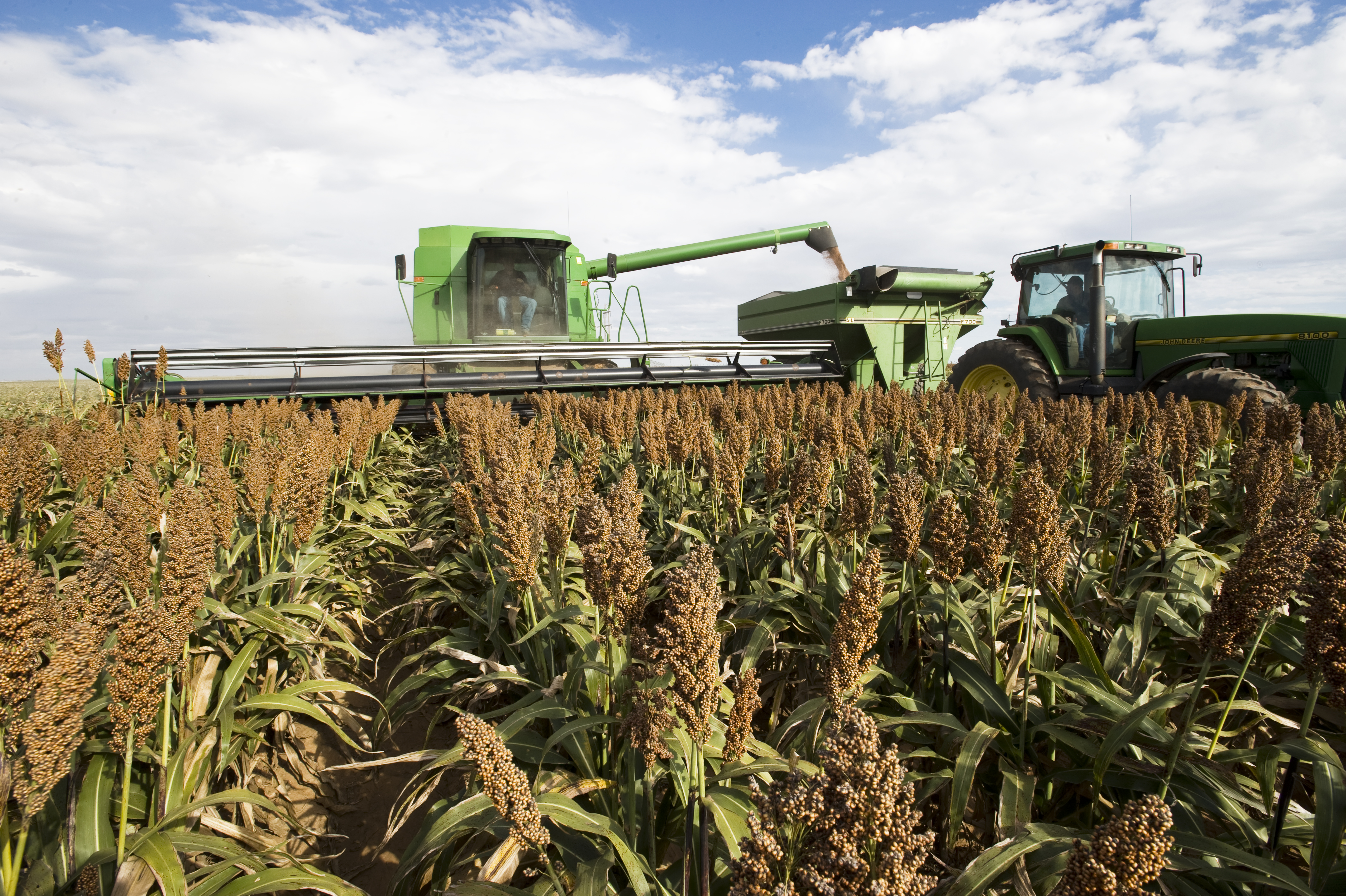 Harvesting